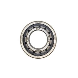 MAIN BALL BEARING ROLLER SKF  product image